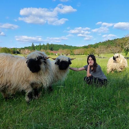 Ferme Des Petites Oreilles 4 Etoiles Montignac-Lascaux Ngoại thất bức ảnh