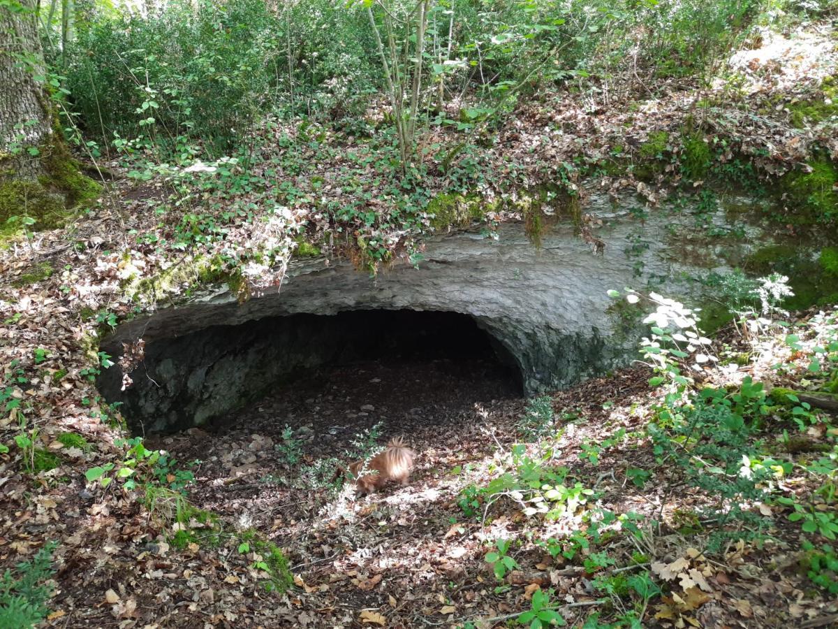 Ferme Des Petites Oreilles 4 Etoiles Montignac-Lascaux Ngoại thất bức ảnh