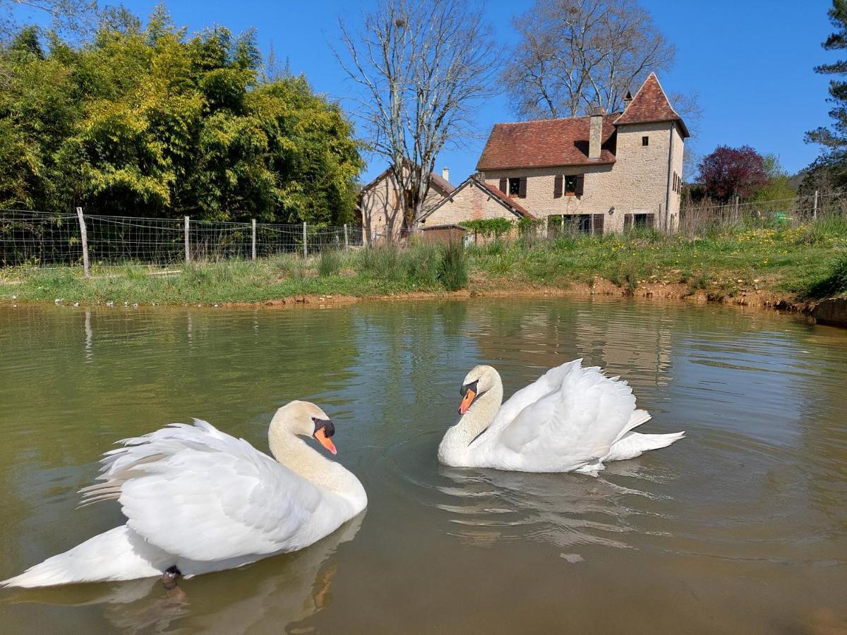 Ferme Des Petites Oreilles 4 Etoiles Montignac-Lascaux Ngoại thất bức ảnh