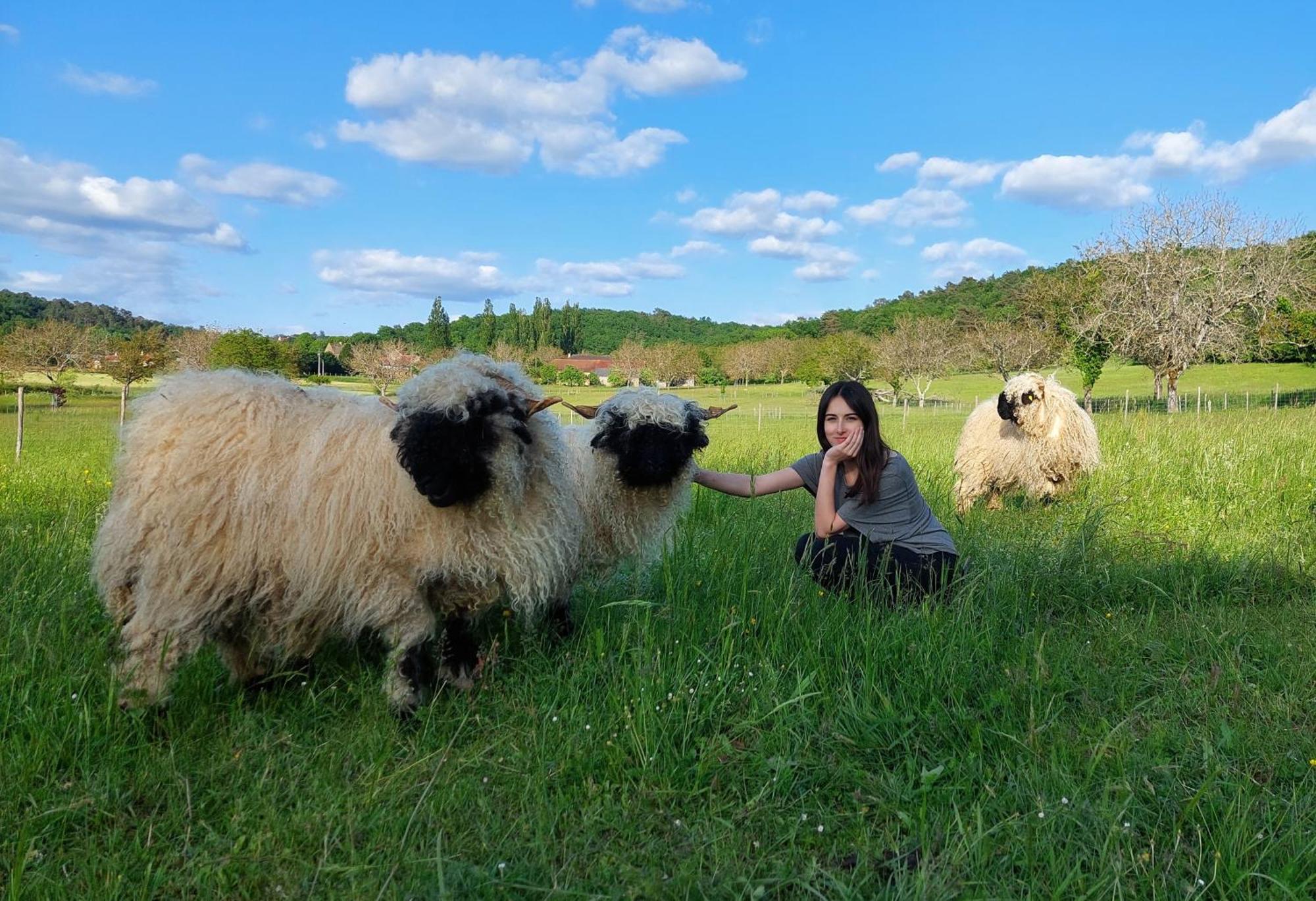 Ferme Des Petites Oreilles 4 Etoiles Montignac-Lascaux Ngoại thất bức ảnh