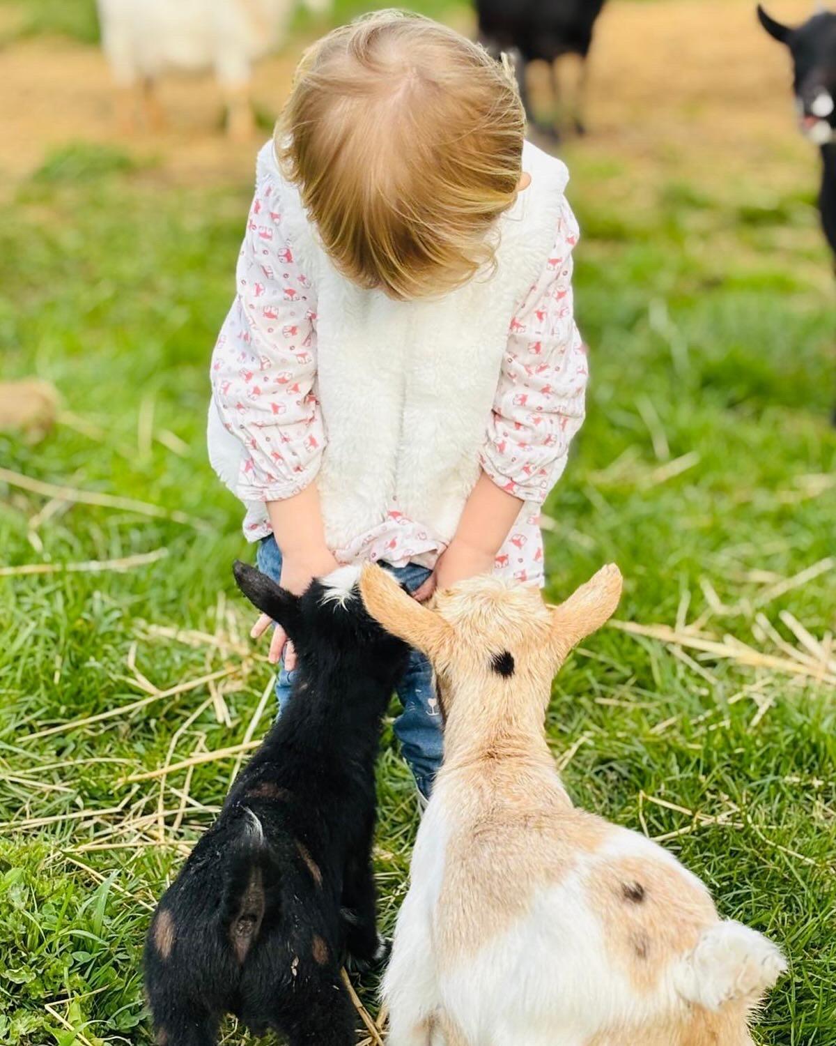 Ferme Des Petites Oreilles 4 Etoiles Montignac-Lascaux Ngoại thất bức ảnh